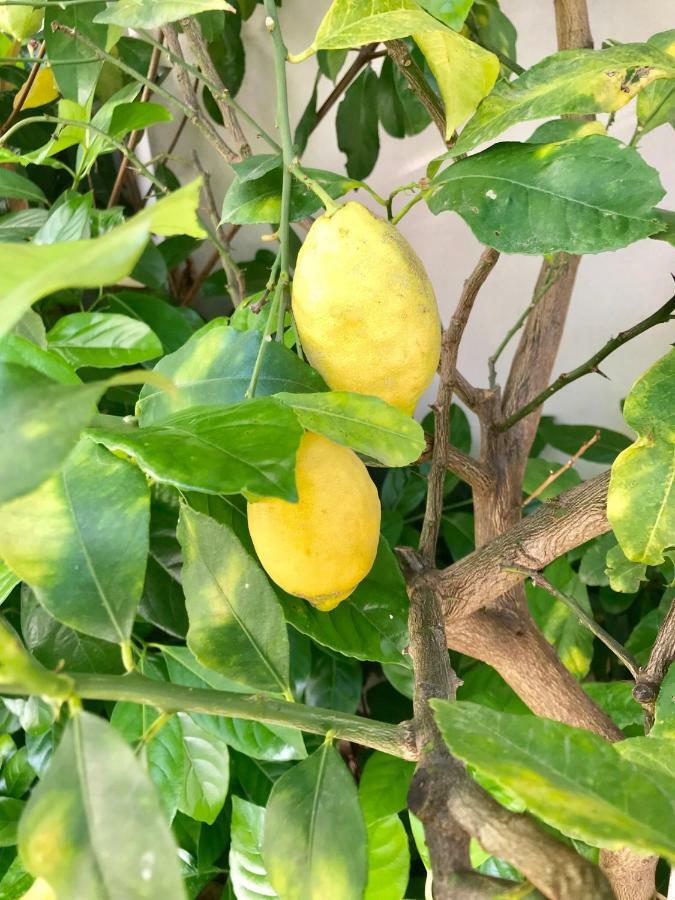 La Casetta Di Gio Sciacca Ngoại thất bức ảnh